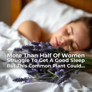Artistic representation for More Than Half Of Women Struggle To Get A Good Sleep But This Common Plant Could Help. The Humble Lavender Plant Could Be The Answer To A Sleepless Night.