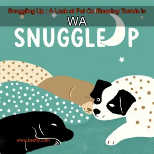 Artistic representation for Snuggling Up : A Look at Pet Co Sleeping Trends in WA