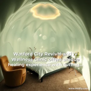 Artistic representation for Watford City Revival and IV Wellness Clinic offers unique healing experience with cutting edge Theta Chamber