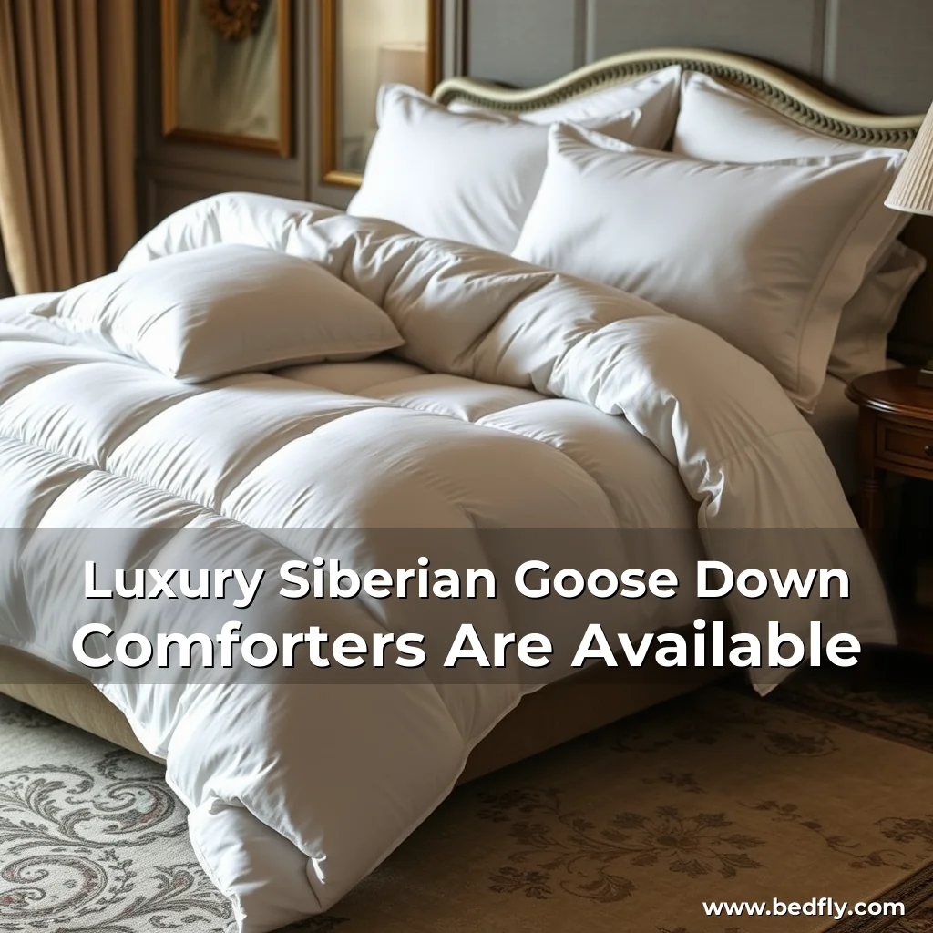 Artistic representation for Luxury Siberian Goose Down Comforters Are Available