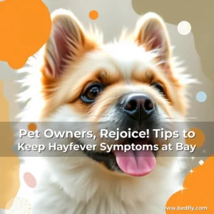 Artistic representation for Pet Owners, Rejoice! Tips to Keep Hayfever Symptoms at Bay