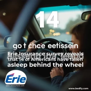 Artistic representation for Erie Insurance survey reveals that 14 of Americans have fallen asleep behind the wheel